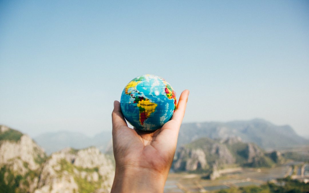 Sie wollen im Ausland studieren?